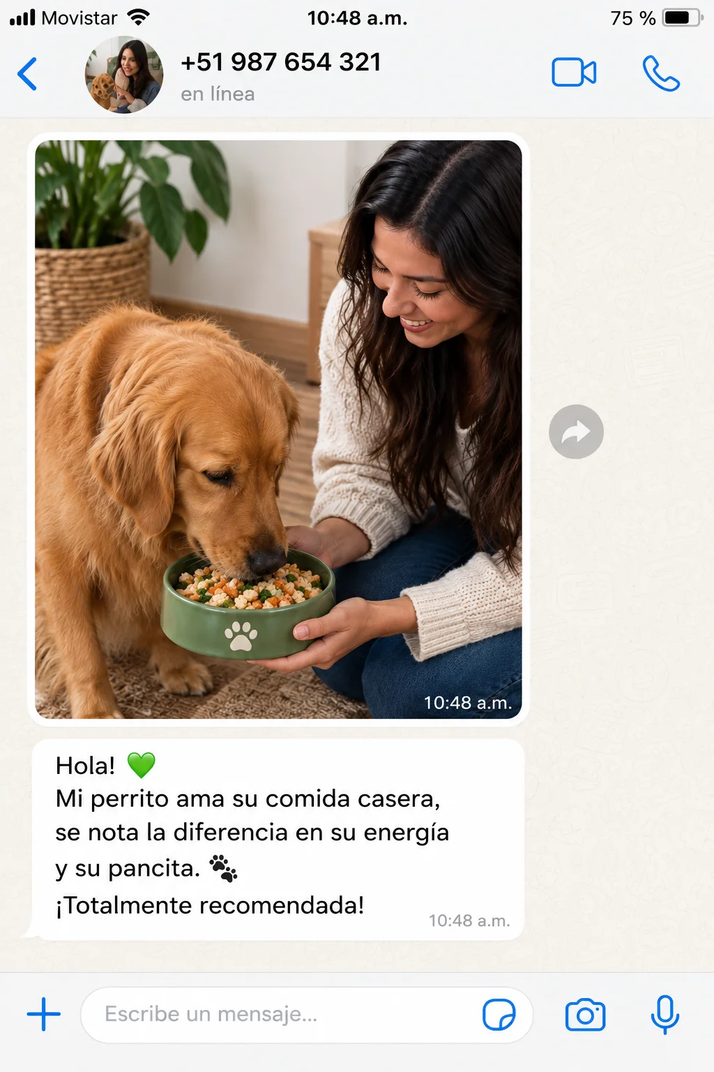 Testimonio de WhatsApp: Mi perrito ama su comida casera, se nota la diferencia en su energía y su pancita. ¡Totalmente recomendada!